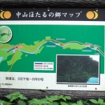 225-1