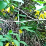 IMG_20170506_101317