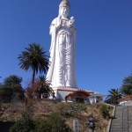 IMG_20171103_113343