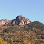 IMG_20191123_150539