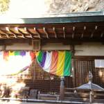 IMG_20191123_143504