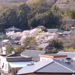 IMG_20190406_162909