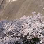 IMG_20190406_162615