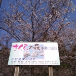 IMG_20190406_155659