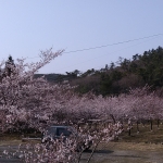 IMG_20190406_155755