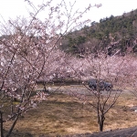 IMG_20190406_155902