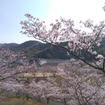 IMG_20190407_091521