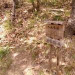 IMG_20190407_103032