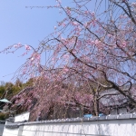 IMG_20190407_110855