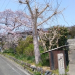 IMG_20190407_114047