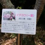 IMG_20190811_125555