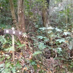 IMG_20201123_123107