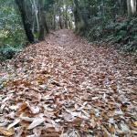 IMG_20201123_123503