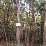 IMG_20201123_124112