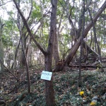 IMG_20201123_124934