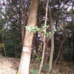 IMG_20201123_125211
