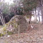 IMG_20201123_130430