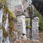 IMG_20201123_131249