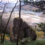 IMG_20201123_131952