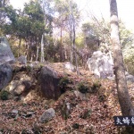IMG_20201123_134920