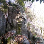 IMG_20201123_135151