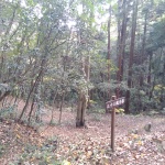 IMG_20201123_143011