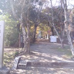 IMG_20201123_120734