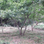 195-1